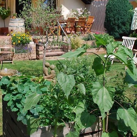 Gartenhaus Am Weinberg Bochingen 外观 照片