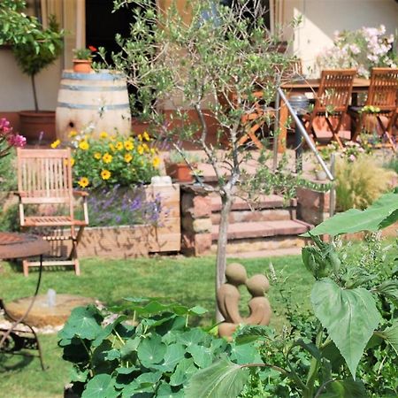 Gartenhaus Am Weinberg Bochingen 外观 照片