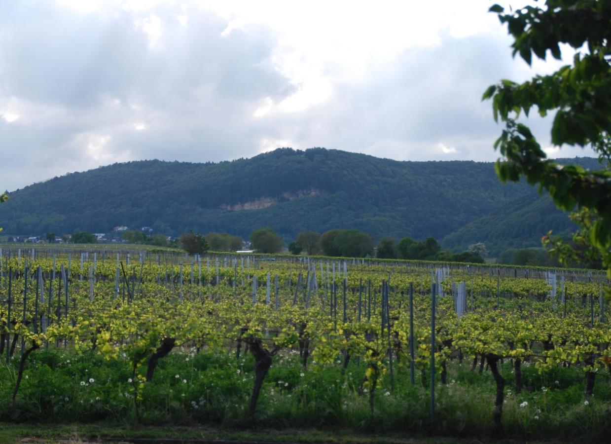 Gartenhaus Am Weinberg Bochingen 外观 照片