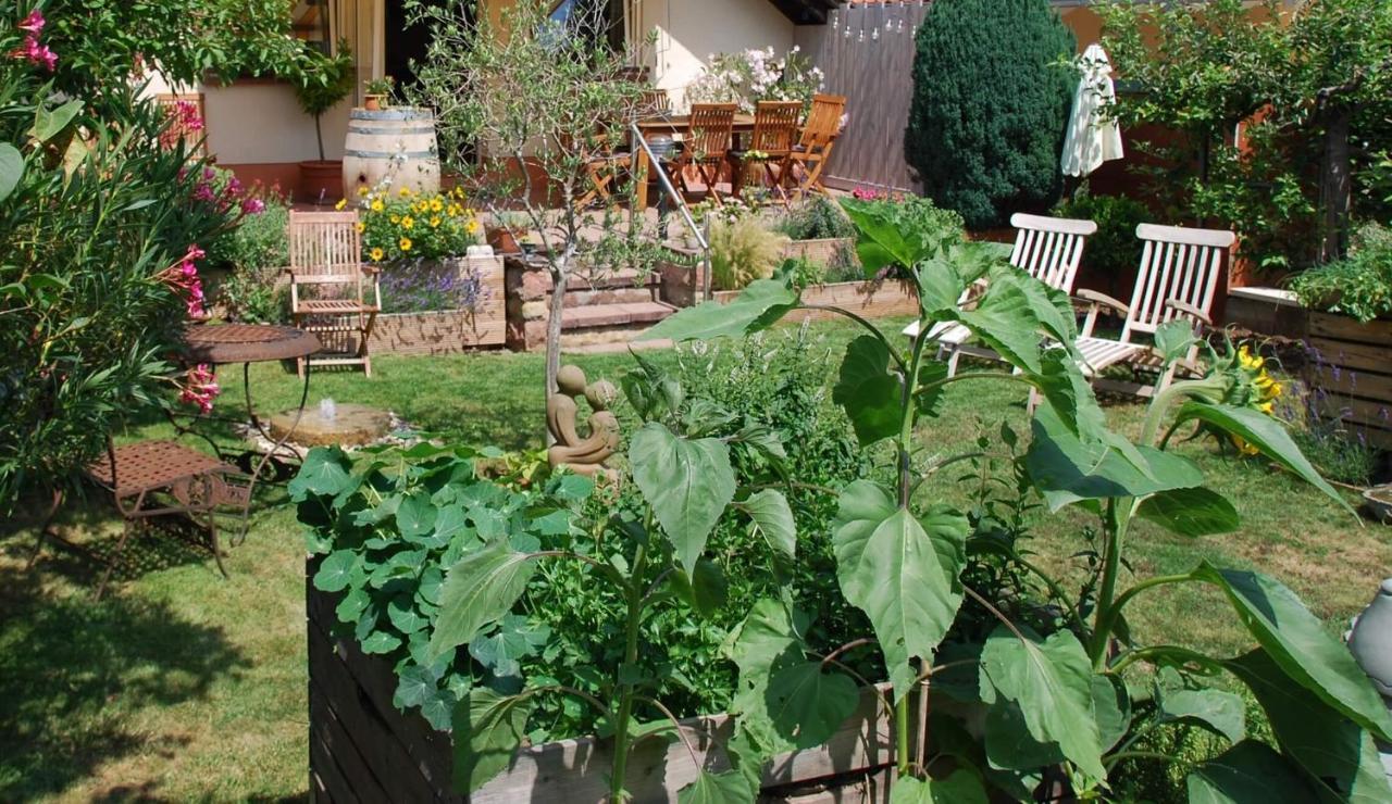Gartenhaus Am Weinberg Bochingen 外观 照片