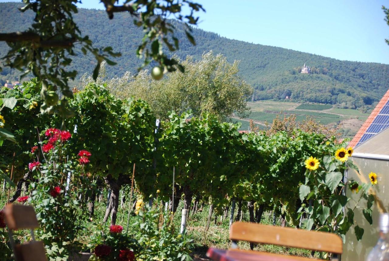 Gartenhaus Am Weinberg Bochingen 外观 照片