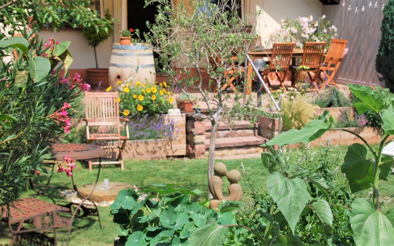 Gartenhaus Am Weinberg Bochingen 外观 照片